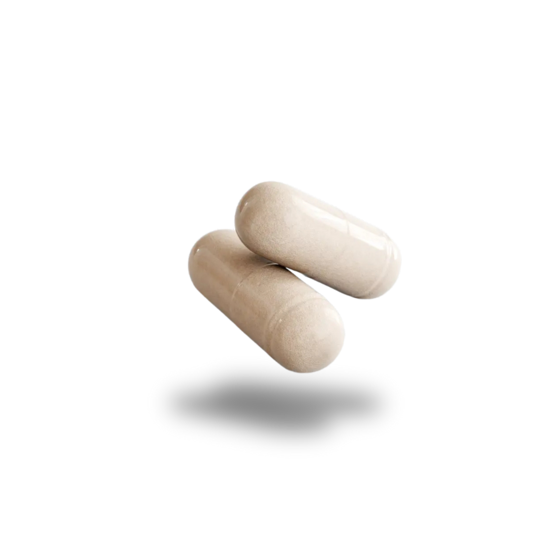 BRAZEN_SHADOW_Sea_Moss